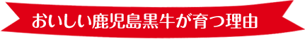 おいしい鹿児島黒牛が育つ理由