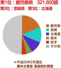 第1位：鹿児島県　321,600頭　第2位：宮崎県　第3位：北海道