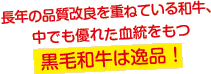 長年の品質改良を重ねている和牛、中でも優れた血統をもつ黒毛和牛は逸品！