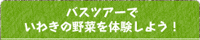 バスツアーでいわきの野菜を体験しよう！