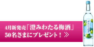 4月新発売「澄みわたる梅酒」50名さまにプレゼント！