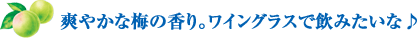 爽やかな梅の香り。ワイングラスで飲みたいな♪