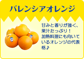バレンシアオレンジ