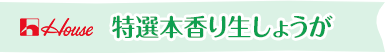 ハウス 特選本香り生しょうが