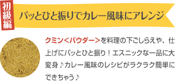 初級編　パッとひと振りでカレー風味にアレンジ