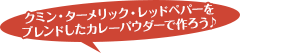 クミン・ターメリック・レッドペパーをブレンドしたカレーパウダーで作ろう♪