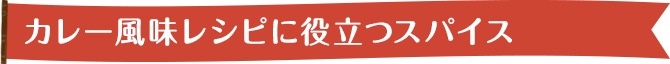 カレー風味レシピに役立つスパイス