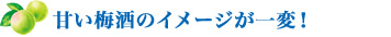 甘い梅酒のイメージが一変！