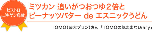 ［ビストロゴキゲン鳥賞］ミツカン 追いがつおつゆ２倍とピーナッツバター de エスニックうどんTOMO（柴犬プリン）さん 「TOMOの気ままなDiary」 
