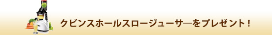 クビンスホールスロージューサーをプレゼント