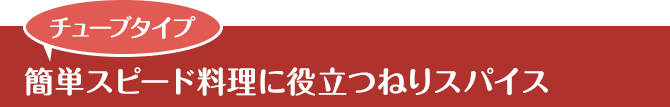 チューブタイプ 簡単スピード料理に役立つねりスパイス