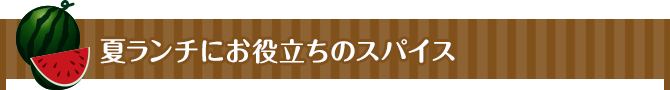 夏ランチにお役立ちのスパイス