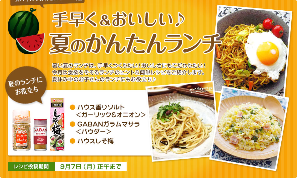 手早く＆おいしい♪夏のかんたんランチ スパイス3種セット100名さまにモニタープレゼント