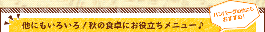 ハンバーグの他にもおすすめ！他にもいろいろ！秋の食卓にお役立ちメニュー♪