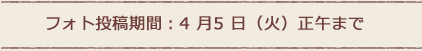 フォト投稿期間：4 月5 日（火）正午まで