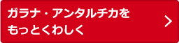 ガラナについてもっとくわしく