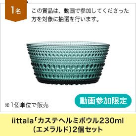 iittala「カステヘルミボウル230ml（エメラルド）2個セット