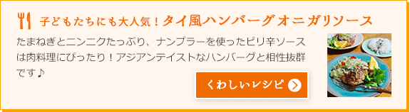 子どもたちにも大人気！タイ風ハンバーグオニガリソース