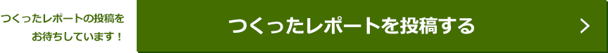 つくったレポートを投稿する