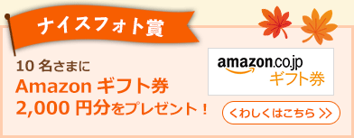 ナイスフォト賞 10名さまにAmazonギフト券2,000円分をプレゼント！