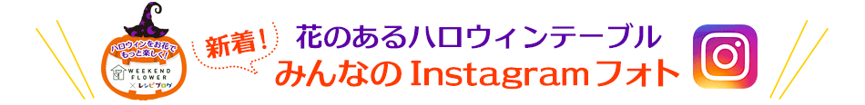 花のあるハロウィンテーブル 新着！みんなのInstagramフォト