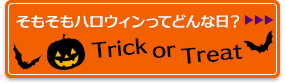 そもそもハロウィンってどんな日？