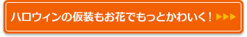 テーブルが華やぐ簡単お花アレンジテク