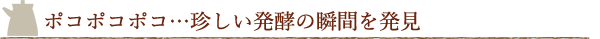 他では得られない貴重な味見体験をしました！