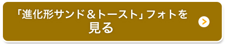 「進化形サンド＆トースト」フォトを見る