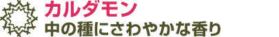 カルダモン中の種にさわやかな香り