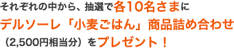 それぞれの中から、抽選で各10名さまにデルソーレ「小麦ごはん」商品詰め合わせ（2,500円相当分）をプレゼント！