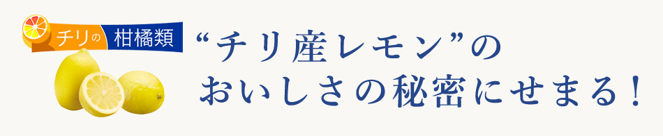 “チリ産レモン”のおいしさの秘密にせまる！