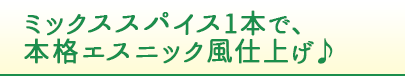 ミックススパイス1本で、本格エスニック風仕上げ♪