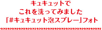 キュキュットでこれを洗ってみました「#キュキュット泡スプレー」フォト