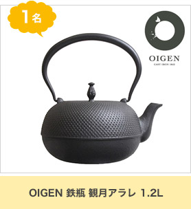 OIGEN 鉄瓶 観月アラレ 1.2L