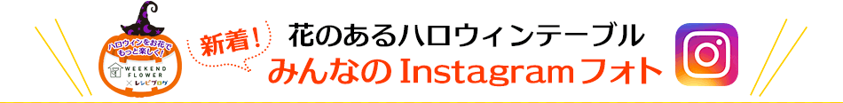 花のあるハロウィンテーブル 新着！みんなのInstagramフォト