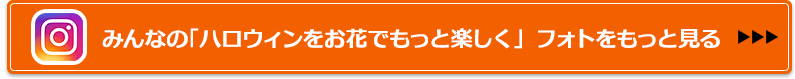 みんなの「ハロウィンをお花でもっと楽しく」 フォトをもっと見る