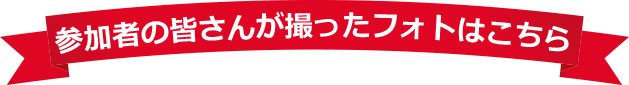 参加者の皆さんが撮ったフォトはこちら