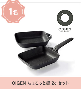 OIGEN ちょこっと鍋 2ヶセット