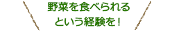 野菜を食べられるという経験を！