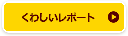 くわしいレポート