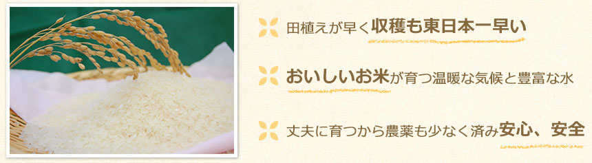 田植えが早く収穫も東日本一早い　おいしいお米が育つ温暖な気候と豊富な水　丈夫に育つから農薬も少なく済み安心、安全