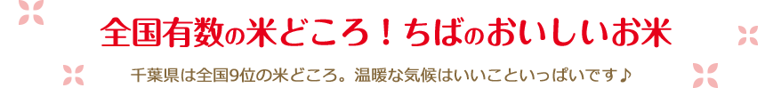 全国有数の米どころ！ちばのおいしいお米