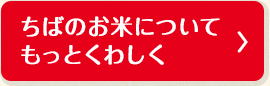 ちばのお米についてもっとくわしく