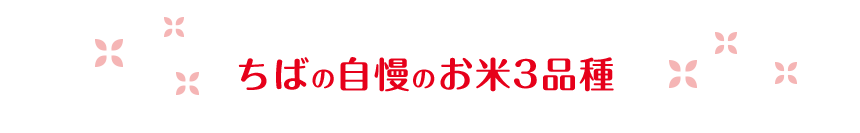 ちばの自慢のお米3品種