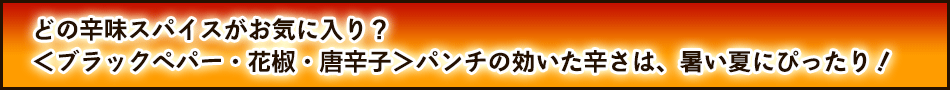 どの辛味スパイスがお気に入り？＜ブラックペパー・花椒・唐辛子＞パンチの効いた辛さは、暑い夏にぴったり！