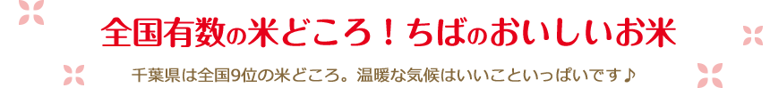 全国有数の米どころ！ちばのおいしいお米