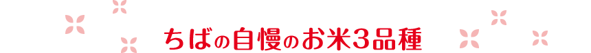 ちばの自慢のお米3品種