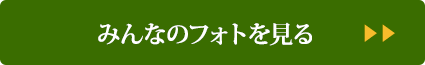 みんなのフォトを見る