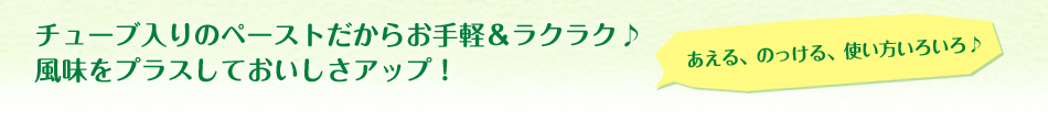 チューブ入りのペーストだからお手軽＆ラクラク♪風味をプラスしておいしさアップ！